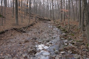 stream backs are eroding due to development surrounding park. More in park development will make current problems worse.